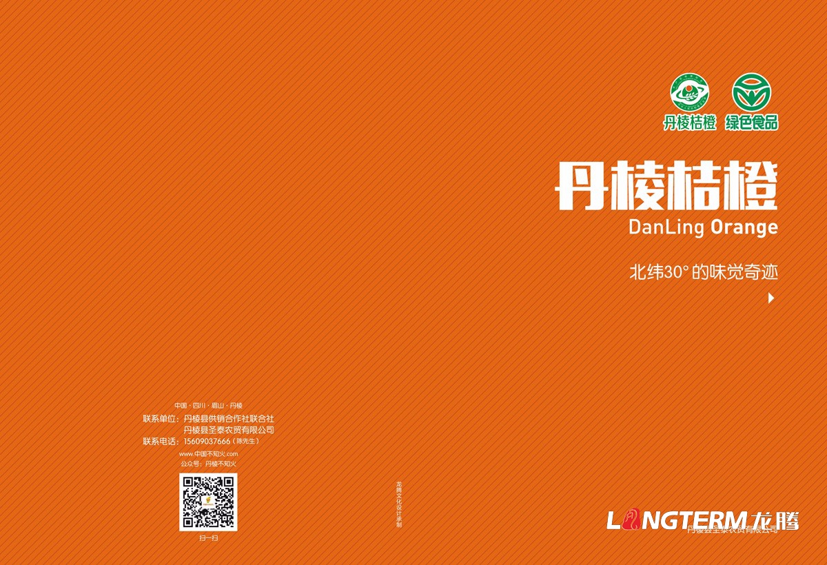丹棱桔橙招商手冊設計|水果桔橙不知火春見清見愛媛38號春香桔柚產品項目招商畫冊設計