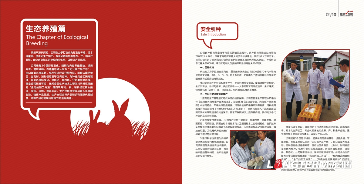 品山兔業形象畫冊設計|自貢市企業宣傳冊設計|鮮兔冷吃兔缺牙巴兔九刀兔休閑食品宣傳畫冊設計