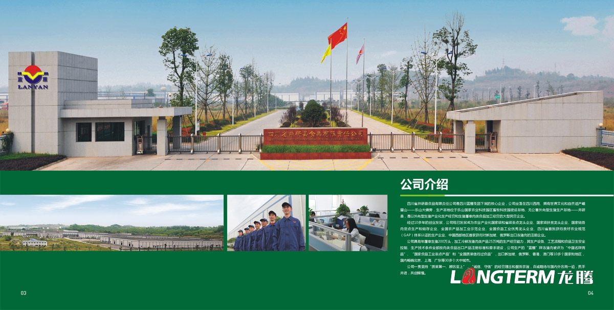 四川省井研食品有限責任公司畫冊設計|樂山市食品工業園企業形象宣傳冊設計