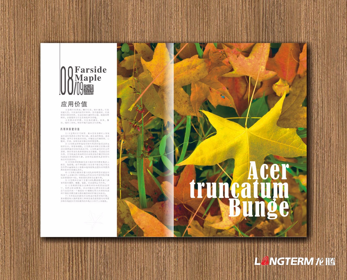 遠洪風林林業公司宣傳冊設計|四川林業園林農業木業牧業公司企業形象宣傳冊設計