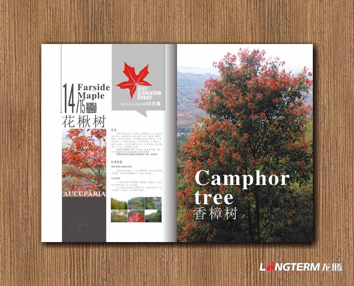 遠洪風林林業公司宣傳冊設計|四川林業園林農業木業牧業公司企業形象宣傳冊設計