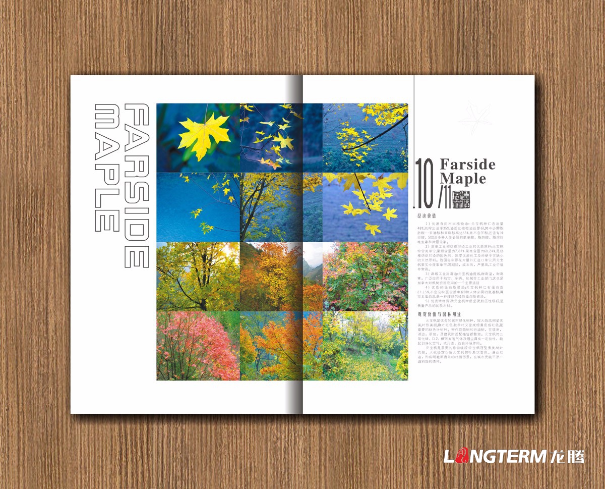 遠洪風林林業公司宣傳冊設計|四川林業園林農業木業牧業公司企業形象宣傳冊設計