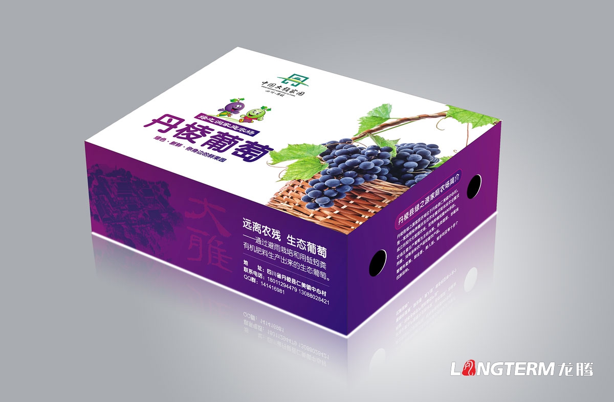 丹棱葡萄包裝設計|新鮮水果葡萄簡裝禮盒包裝設計效果圖