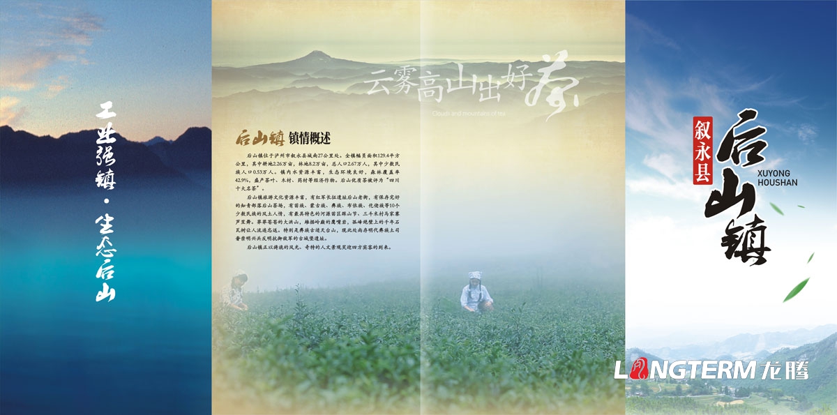 敘永茶文化節宣傳單設計|敘永縣后山鎮生態綠色茶場宣傳DM單折頁廣告設計
