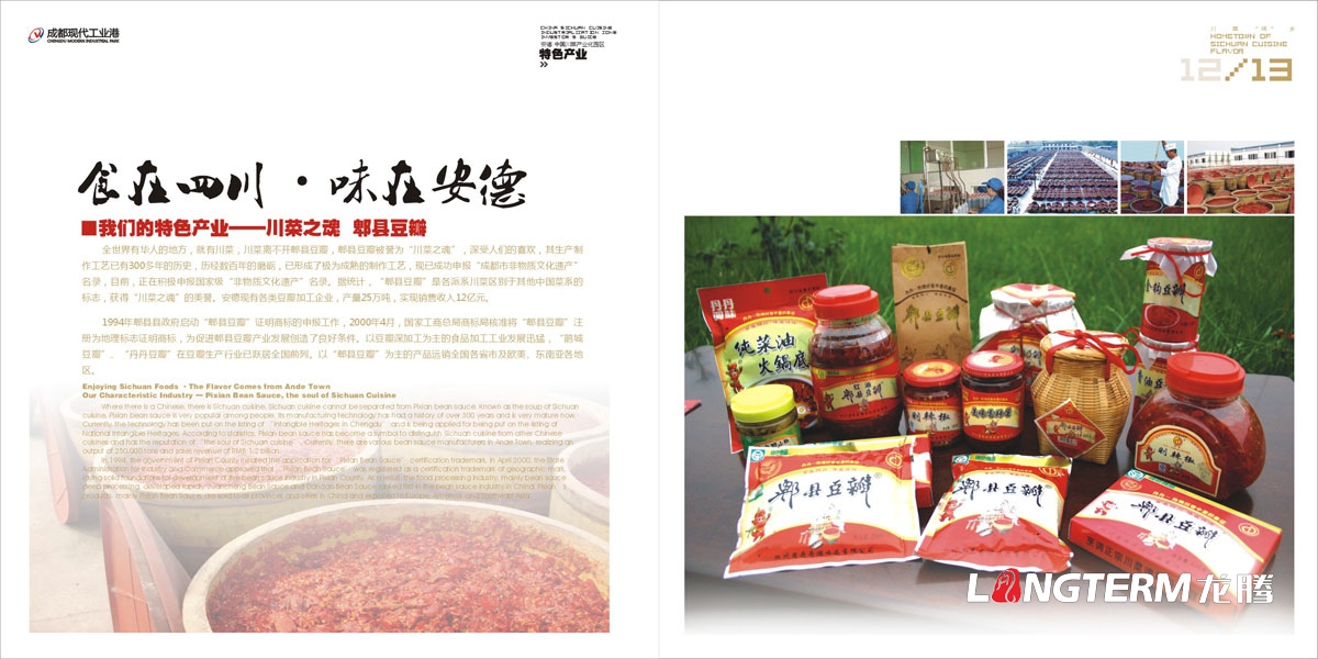 安德產業園區投資指南手冊設計|中國川菜產業化園區設計招商投資指南宣傳冊設計|產業園區投資宣傳手冊設計