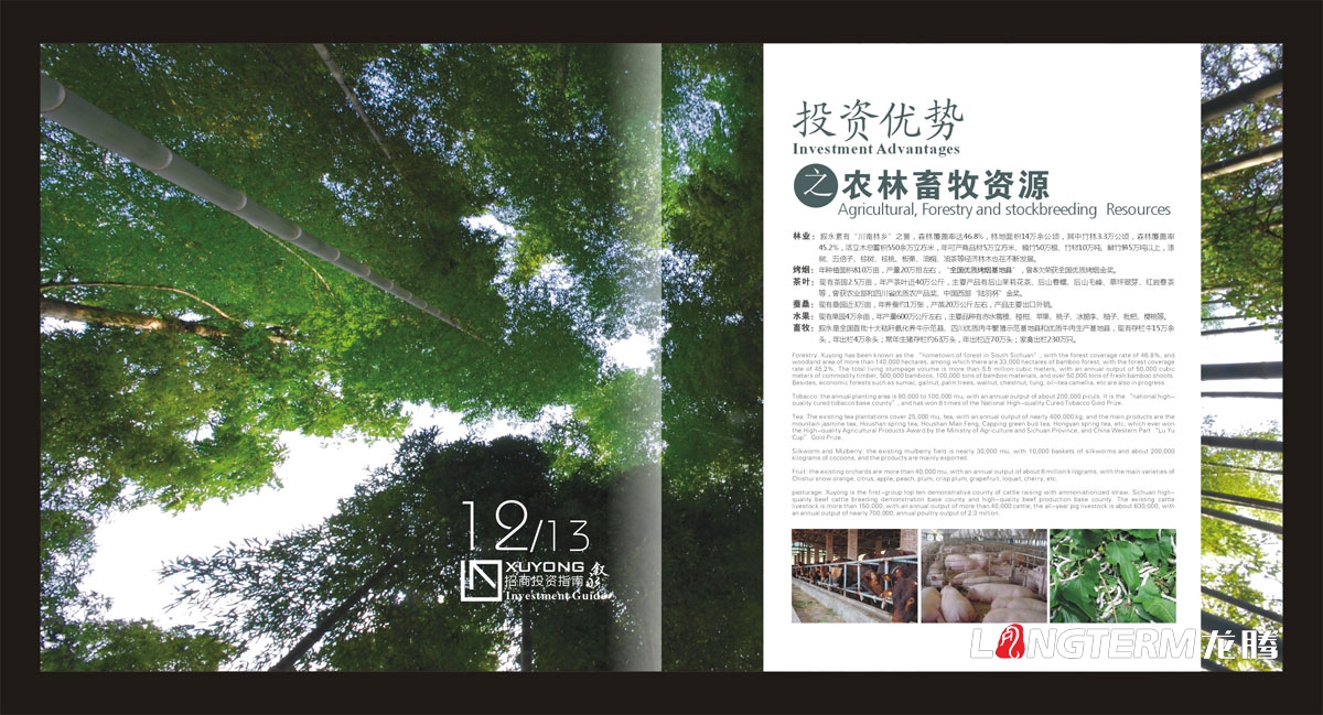 敘永縣招商投資指南手冊設計|城市鄉鎮鄉村招商投資宣傳畫冊設計|城市交通礦產資源旅游商務招商宣傳冊設計