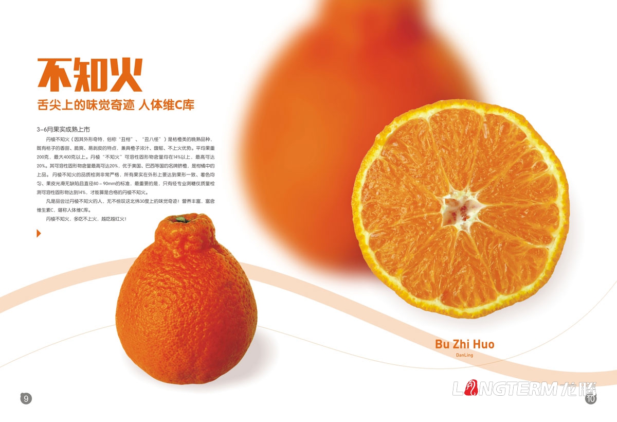 眉山專業畫冊設計公司|眉山市創意宣傳冊折頁設計|東坡區丹棱縣仁壽眉山青神洪雅折頁設計