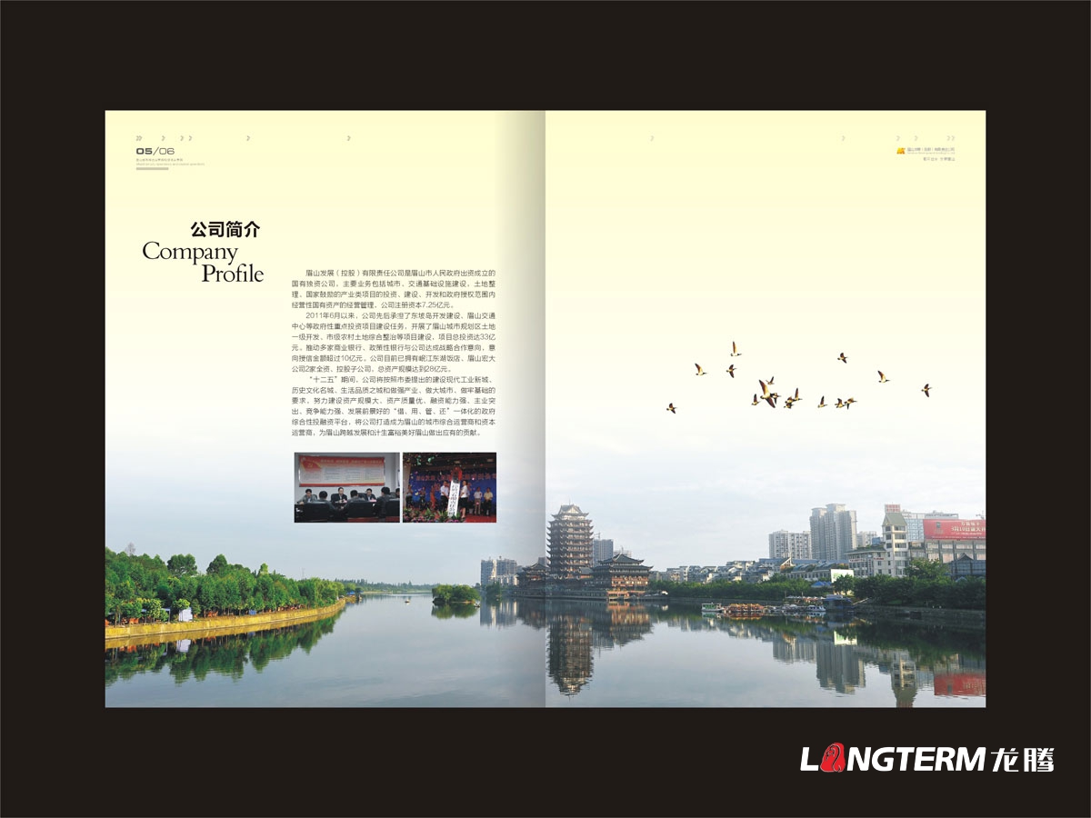 眉山專業畫冊設計公司|眉山市創意宣傳冊折頁設計|東坡區丹棱縣仁壽眉山青神洪雅折頁設計