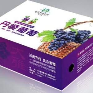 成都創意水果禮盒包裝盒子設計印刷公司