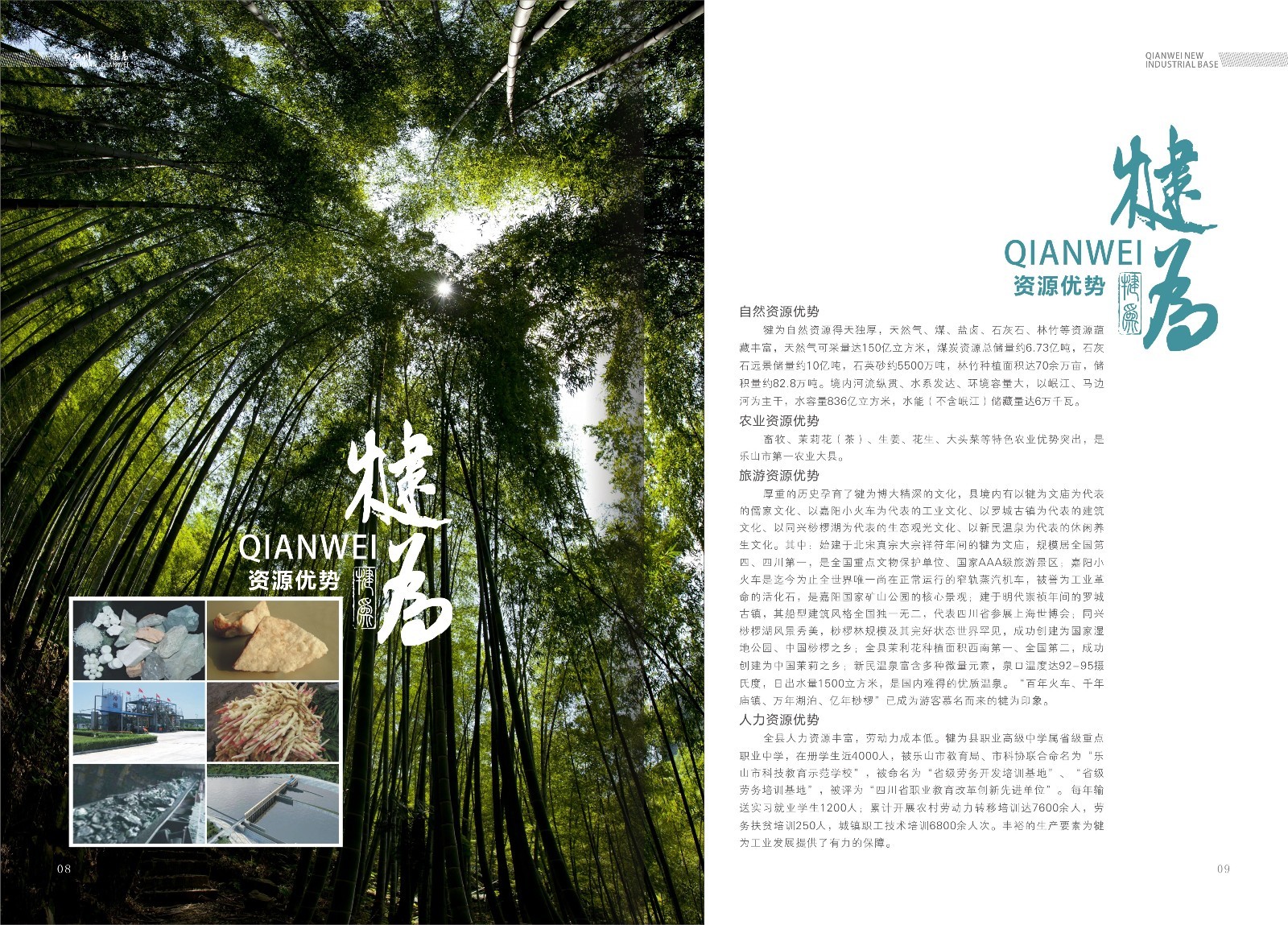 成都企業招商宣傳冊設計公司|四川政府工業園區招商引資宣傳畫冊設計印刷制作