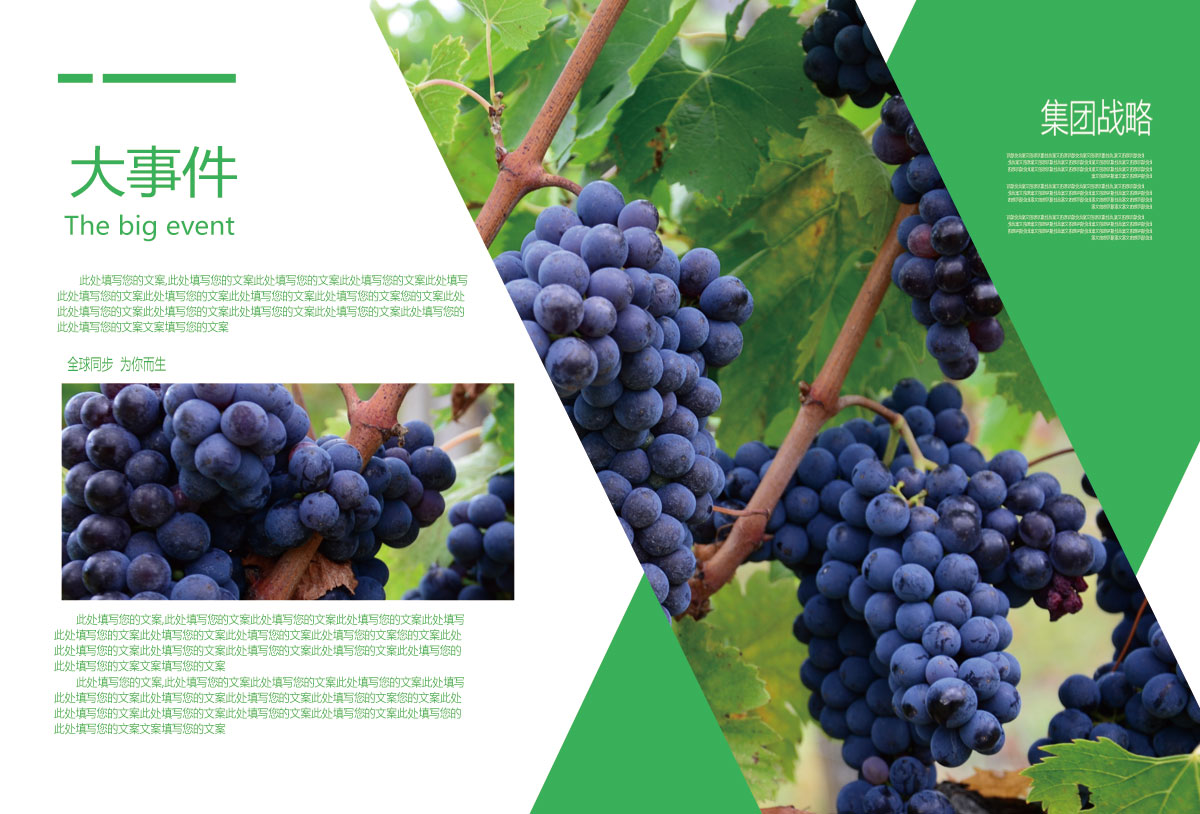 成都農業科技公司形象宣傳冊設計|四川農業發展投資集團公司品牌升級形象畫冊設計
