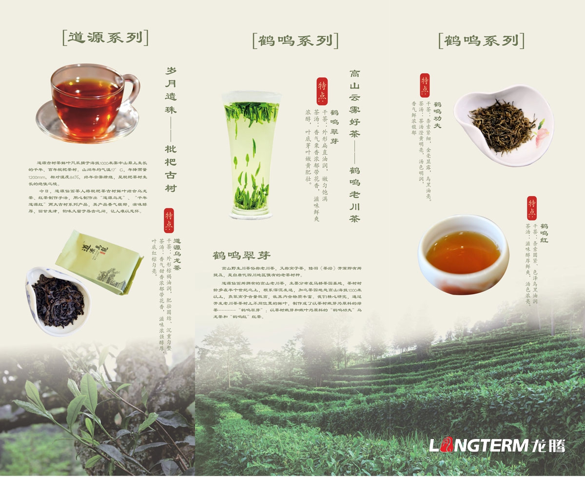道源仙翁茶業公司三折頁廣告設計_成都道源仙翁茶業有限公司宣傳物料設計_大邑縣茶葉廣告設計公司