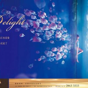 消費者到底要的是品牌還是品類？