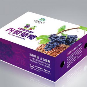 紅酒包裝設計怎樣更吸引大家眼球？