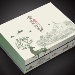 品牌營銷對傳統企業發展的影響