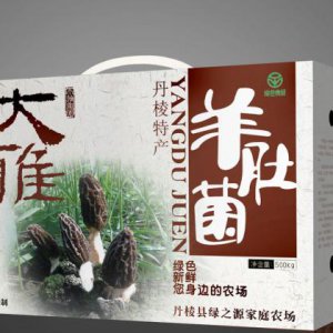 營銷策劃能夠解決企業哪些問題？