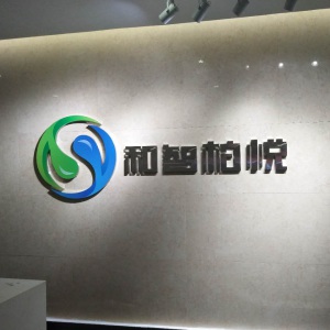 成都和智柏悅科技有限公司logo設計正在進行中
