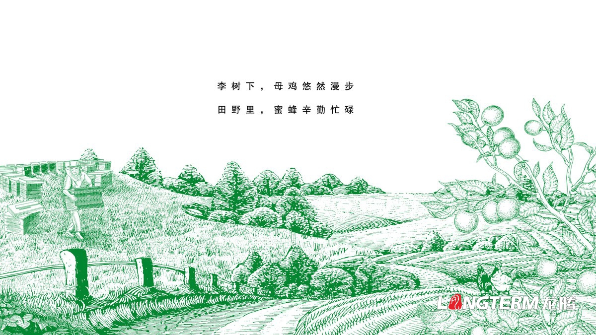 達州市大竹縣李子園水果包裝箱設計公司_李子禮盒彩箱手繪原創設計效果圖