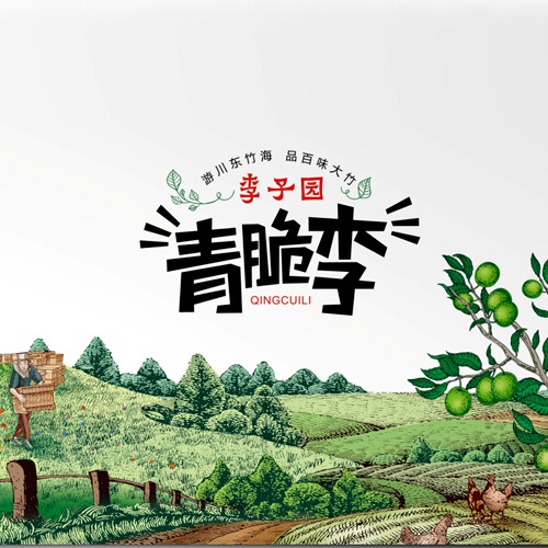 水果包裝設計-達州市大竹縣李子園水果包裝箱設計公司_李子禮盒彩箱手繪原創設計效果圖
