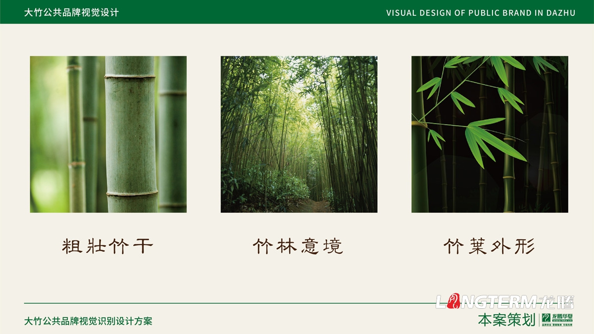 大竹縣農產品區域公用品牌設計_成都公共品牌視覺形象設計