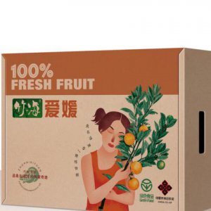品牌包裝盒子的設計如何體現時尚？
