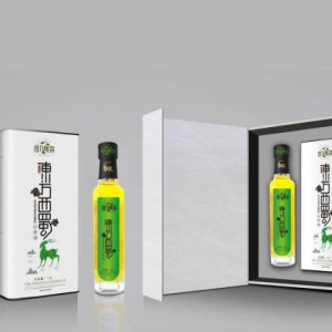為什么西安的品牌設計很受歡迎？