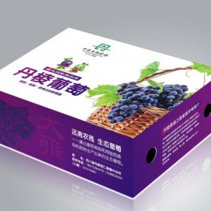 品牌形象包括哪些？