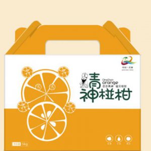 旅游品牌設計是什么？