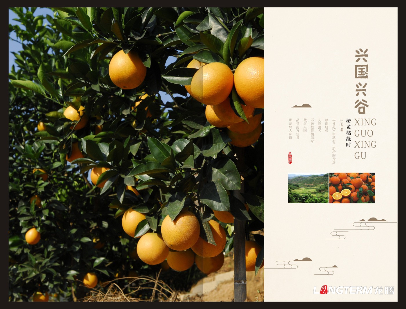 興國興谷農業企業形象宣傳畫冊設計_興國興谷農業發展有限公司宣傳手冊設計
