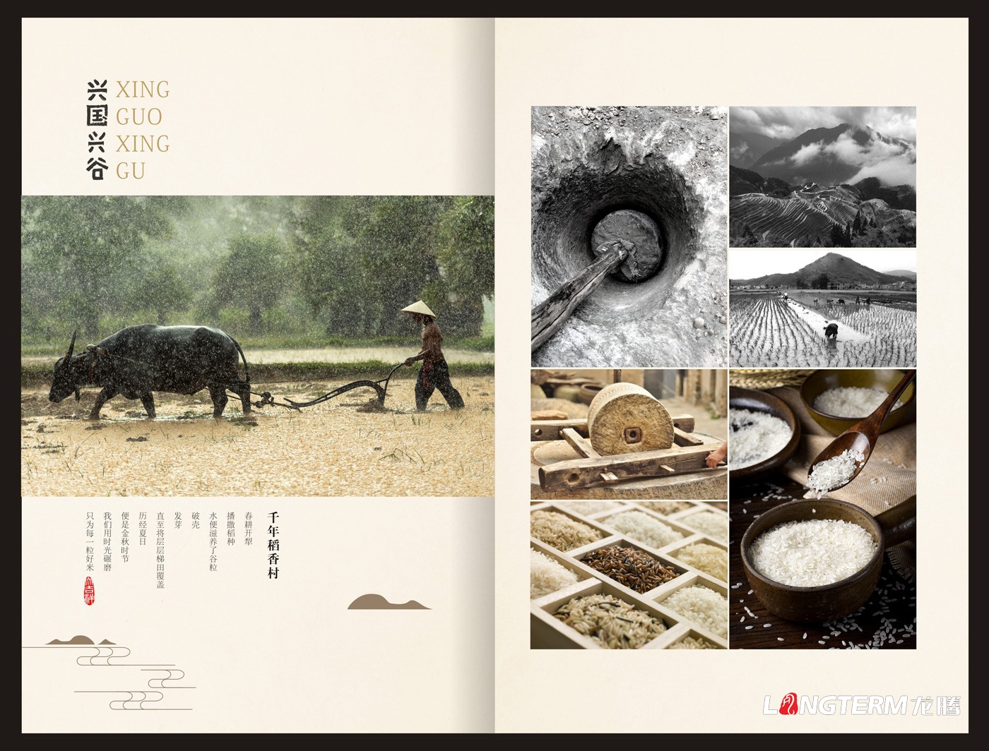 興國興谷農業企業形象宣傳畫冊設計_興國興谷農業發展有限公司宣傳手冊設計