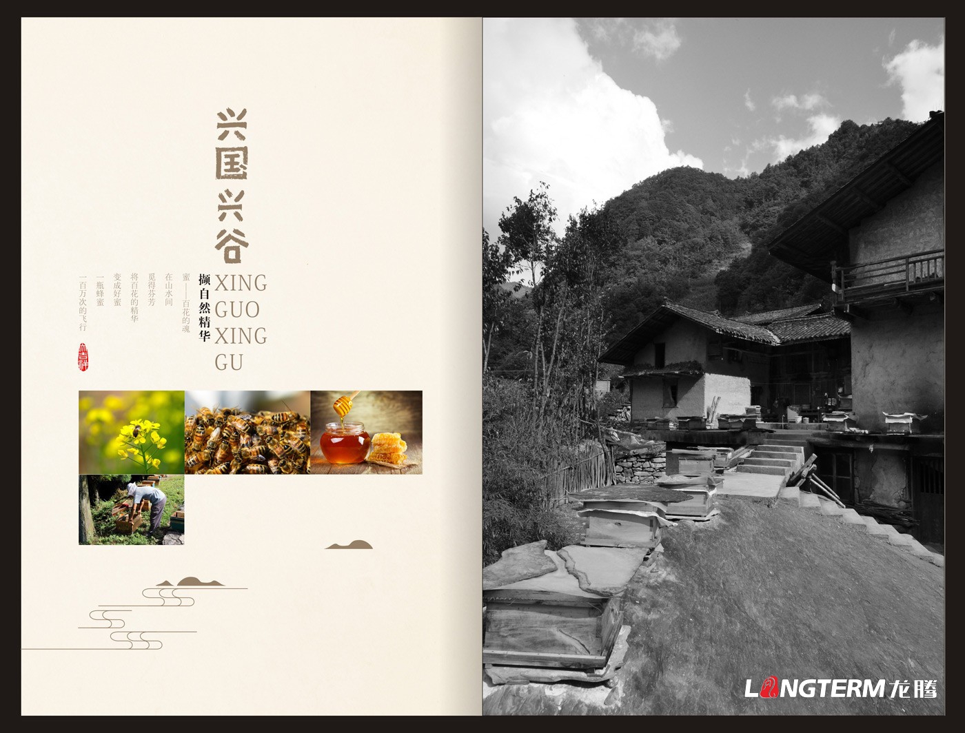 興國興谷農業企業形象宣傳畫冊設計_興國興谷農業發展有限公司宣傳手冊設計