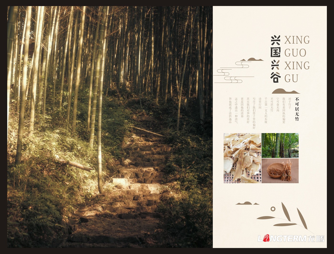 興國興谷農業企業形象宣傳畫冊設計_興國興谷農業發展有限公司宣傳手冊設計
