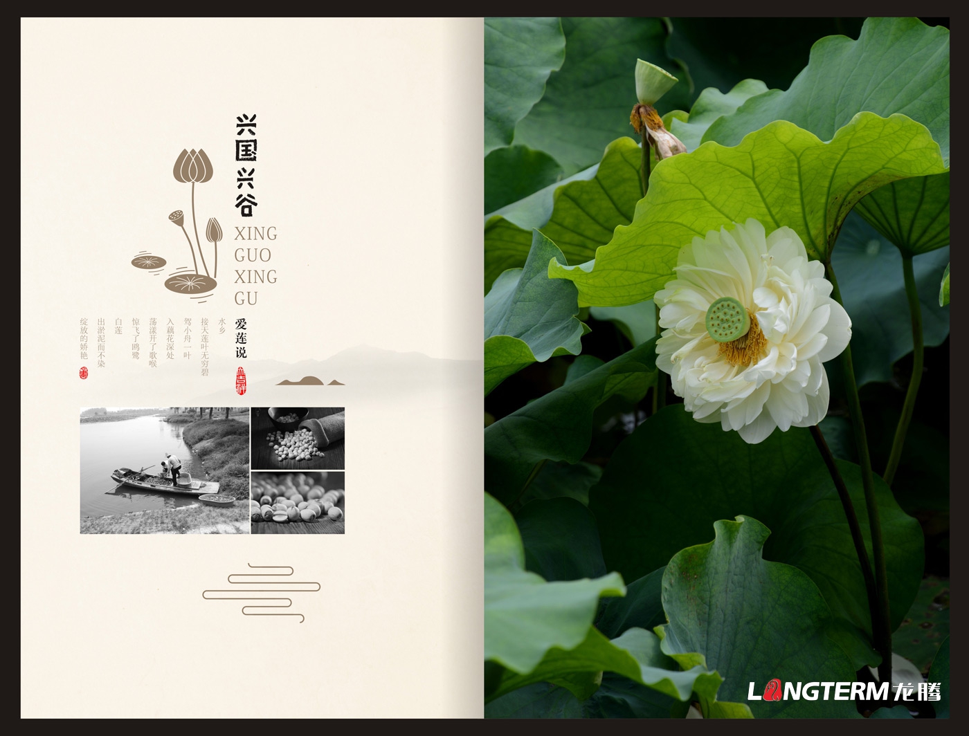 興國興谷農業企業形象宣傳畫冊設計_興國興谷農業發展有限公司宣傳手冊設計